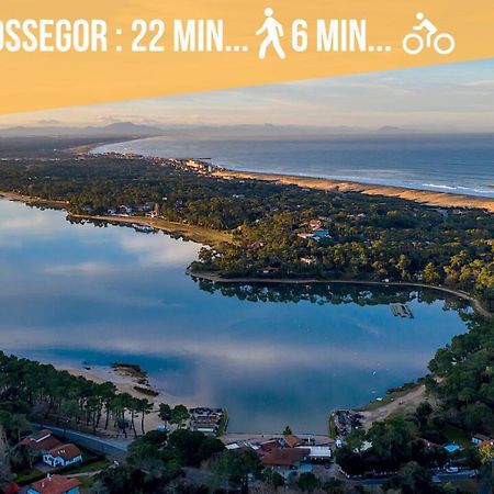 Hossegor - Vue Ocean - Plage - Couple - Famille Сорт-Осгор Екстериор снимка